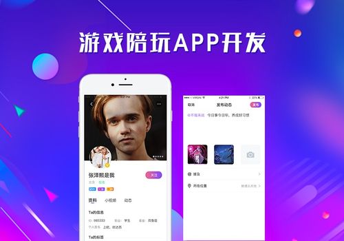 陪玩app开发,关于游戏陪玩app系统,定制开发方案详解